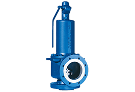Safety Relief Valve