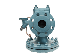 Back Pressure Regulators